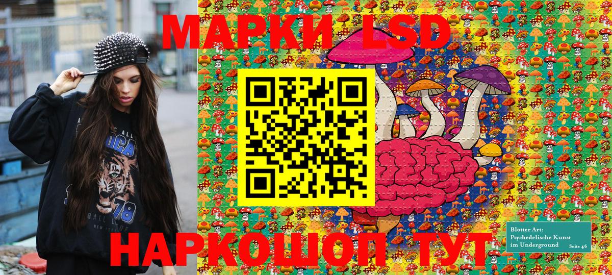 где можно купить наркотик  Марки N-bome 1,5мг  Вход с VPN  Краснокамск  Марки N-bome 